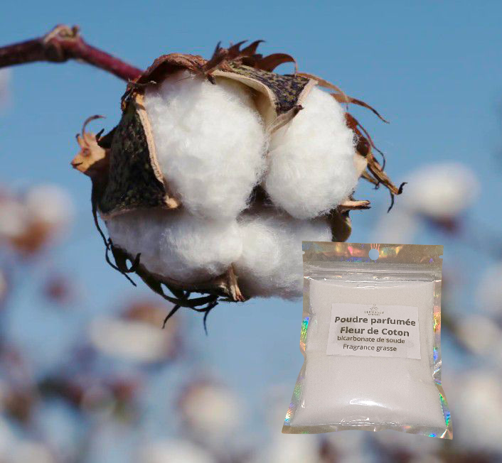 Poudre parfumée fleur de coton