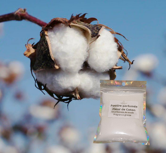 Poudre parfumée fleur de coton